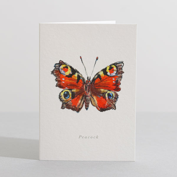 Peacock Butterfly Card - Sara Sayer