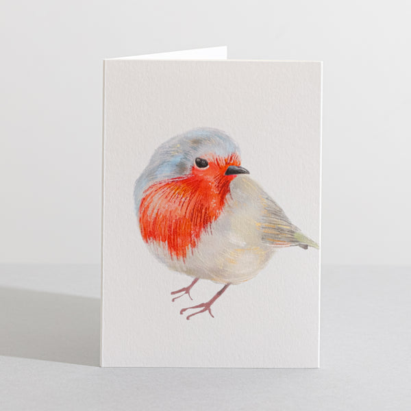Robin bird card Concertina Card - Sara Sayer