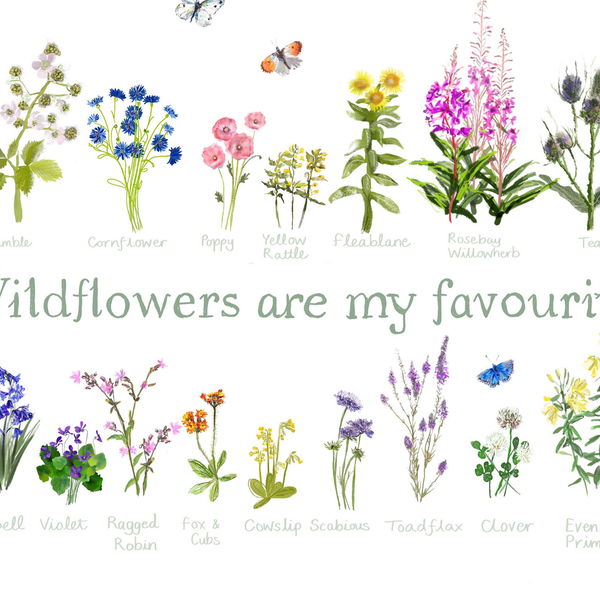 detail of Wildflowers are my favourite Wall Art Print - Sara Sayer
