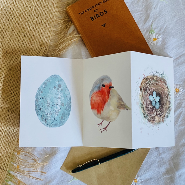 Robin bird card Concertina Card - Sara Sayer