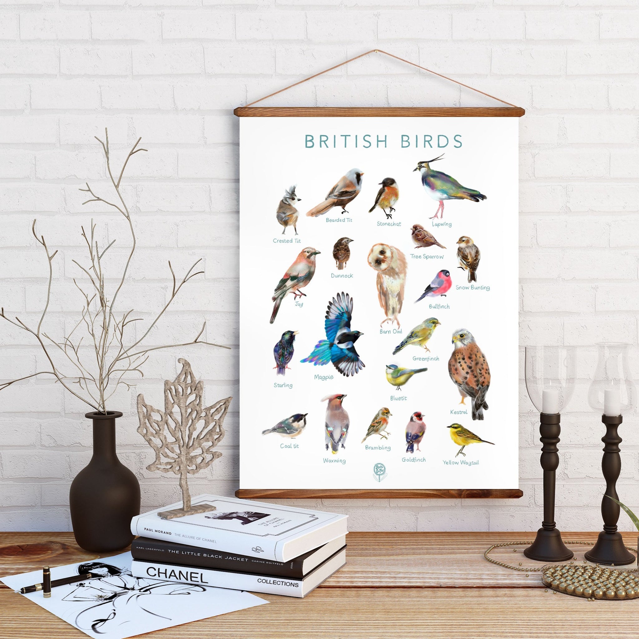 British Birds Wall Art Print - Sara Sayer