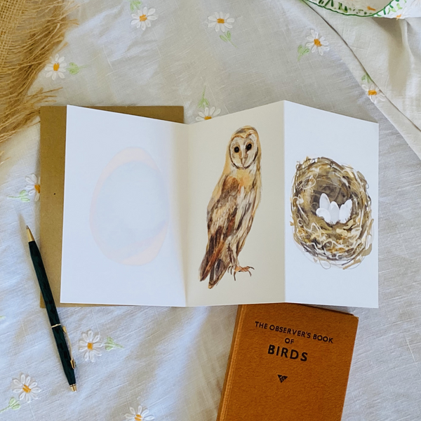 Barn Owl British Bird card Concertina card - Sara Sayer
