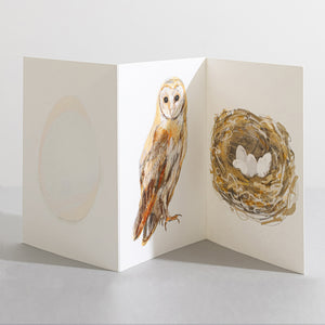 Barn Owl British Bird card Concertina card - Sara Sayer