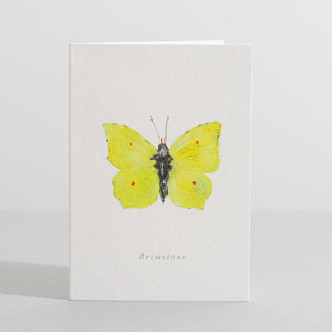 Brimstone Butterfly card - Sara Sayer