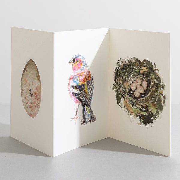 Chaffinch British Bird card Concertina Card - Sara Sayer