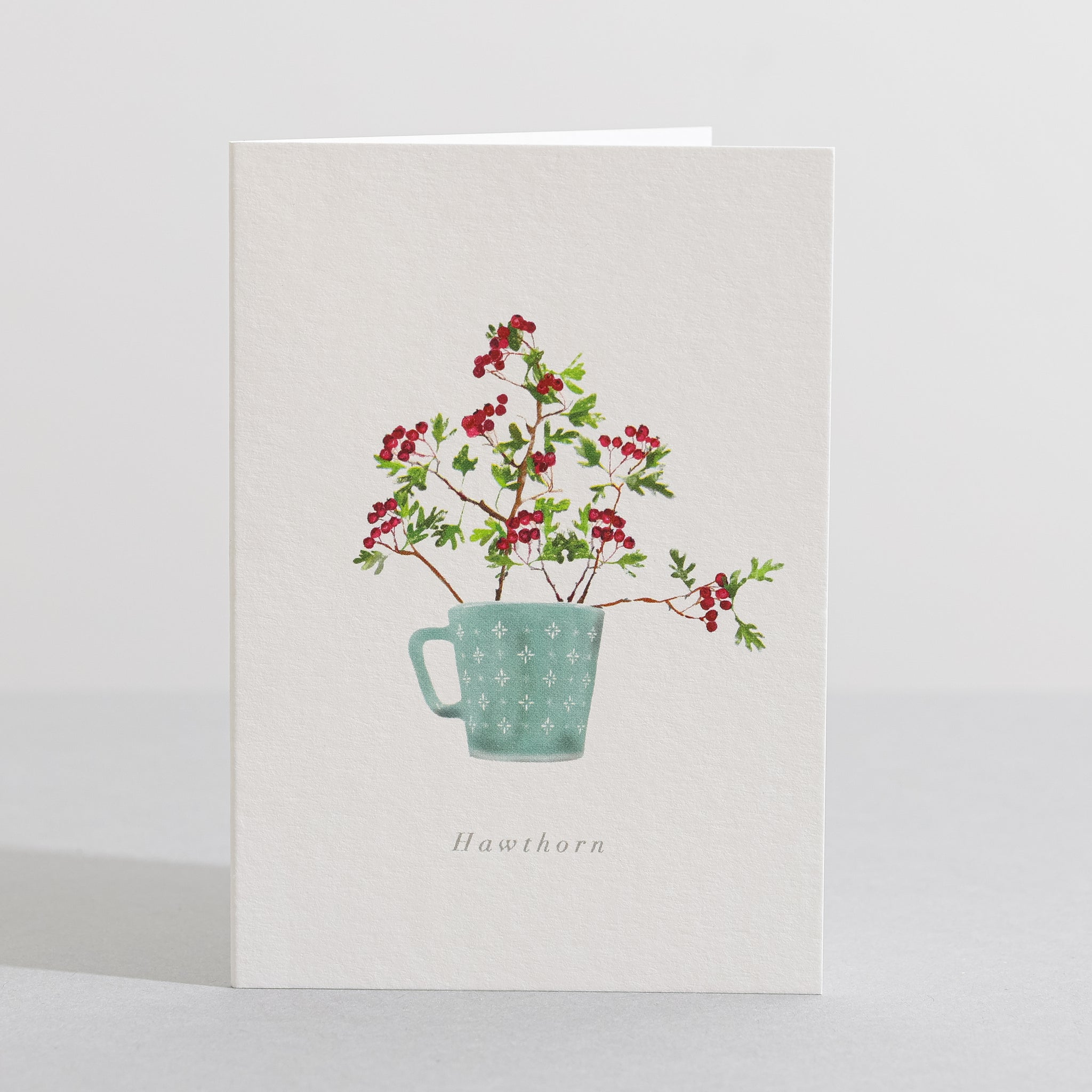 Hawthorn greetings card by Sara Sayer
