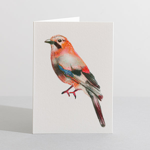 Jay British Bird card Concertina Card - Sara Sayer