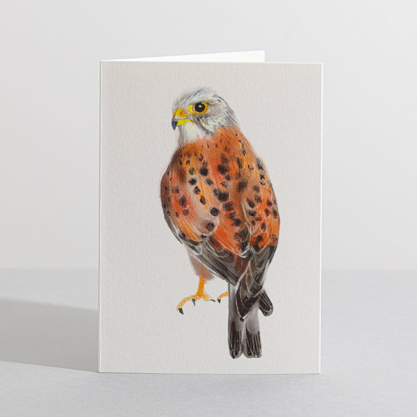 Kestrel British Bird card Concertina Card - Sara Sayer