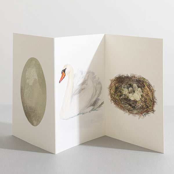 Swan British Bird card Concertina Card - Sara Sayer
