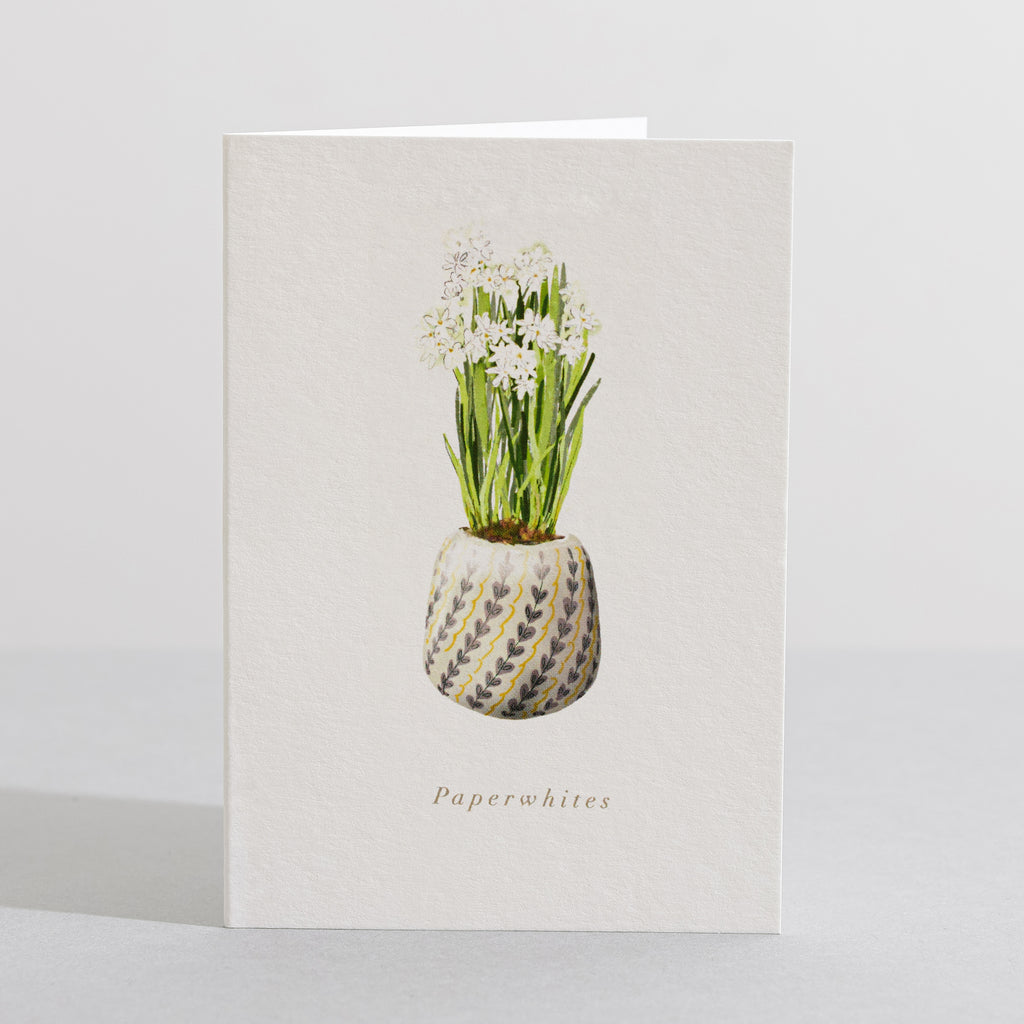 sara seed plant Paperwhites Mini Card – sara_sayer
