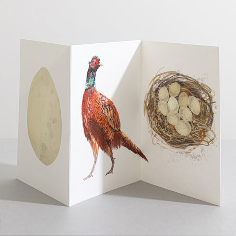 Pheasant British Birds card Concertina Card - Sara Sayer
