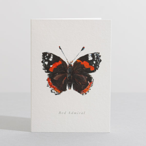 Red Admiral Butterfly card - Sara Sayer