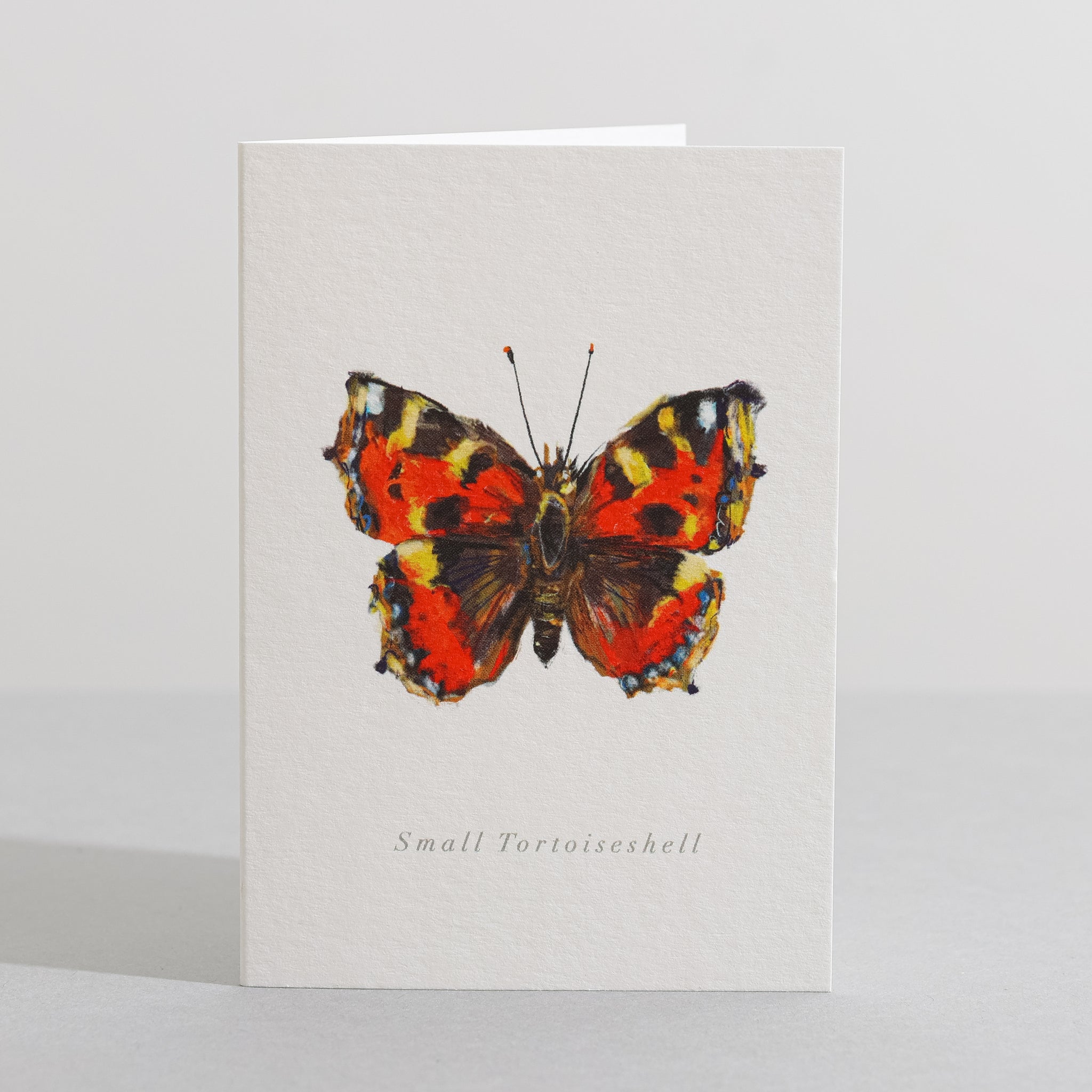 Small tortoiseshell butterfly card - Sara Sayer