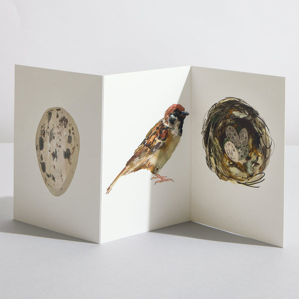 Sparrow Concertina Card