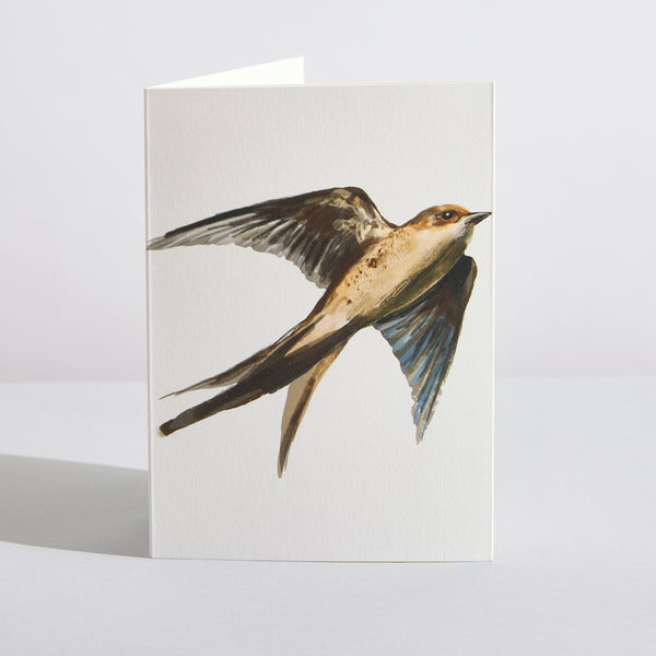 Swift Concertina Card