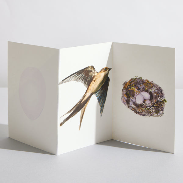 Swift Concertina Card