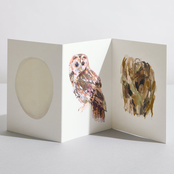 Tawny Owl Concertina Card