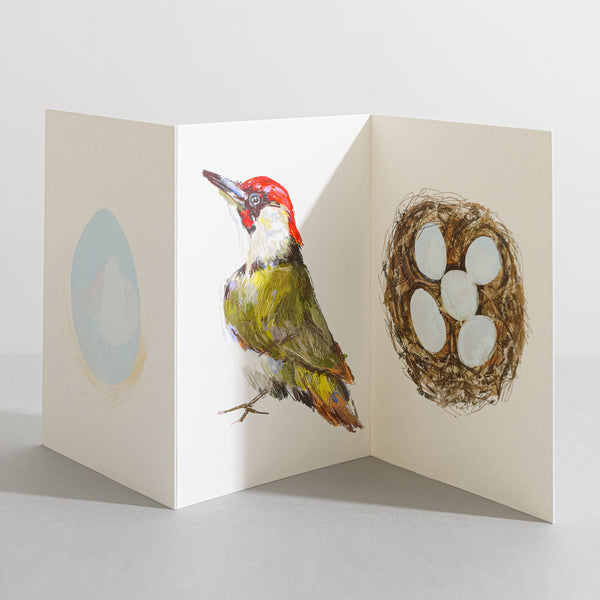 Green Woodpecker British Bird concertina card - Sara Sayer