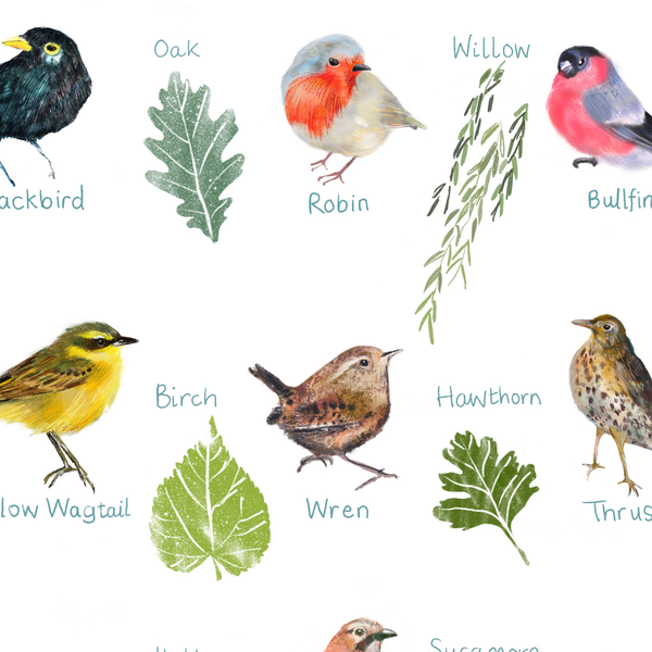 detail of Garden Birds Wall Art Print - Sara Sayer