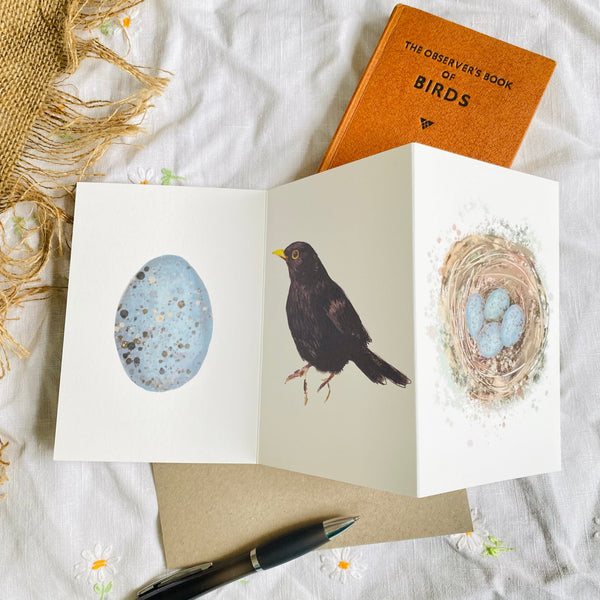 Blackbird British Bird card Concertina card - Sara Sayer