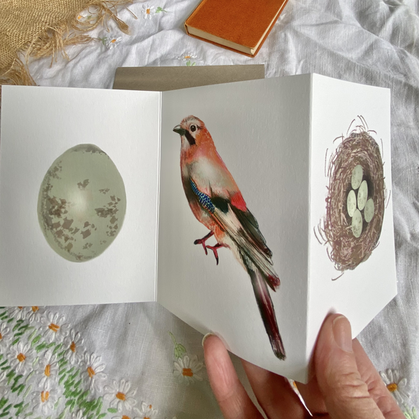 Jay British Bird card Concertina Card - Sara Sayer