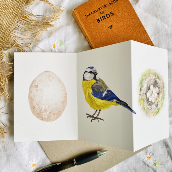 Bluetit British Bird card Concertina Card - Sara Sayer
