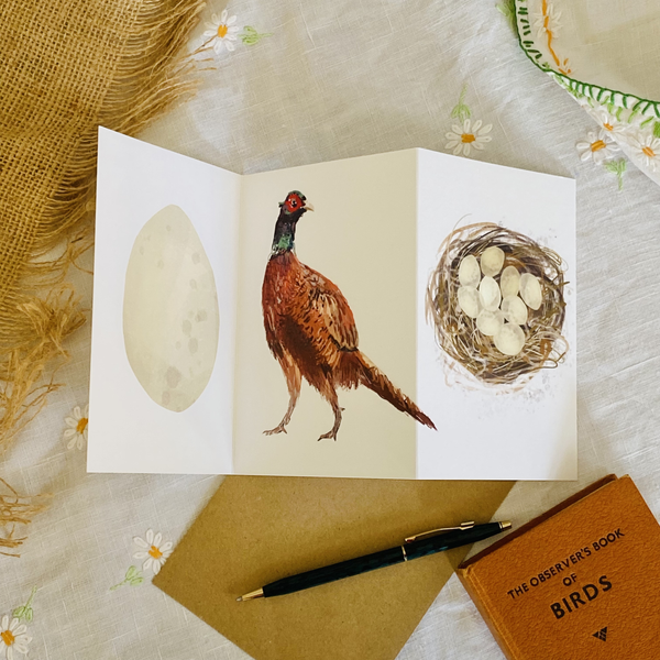 Pheasant British Birds card Concertina Card - Sara Sayer